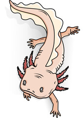 Cute Cartoon Axolotl with Pink Gills and Tail
