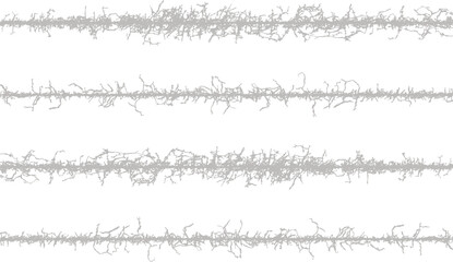 a series of gray lines on a white background, A set of black grass silhouettes forms a decorative, ornate border pattern with a floral and leafy design, Microscopic Structures Filamentous Network