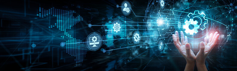 System admin holding global network and configuration settings, preferences interface access...