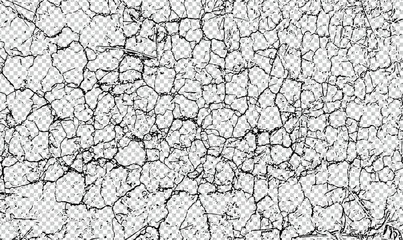 texture of the bark Dry, cracked, old stone wall with abstract, natural grunge textures of bark and arid, 
