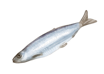 Fish watercolor illustration drawing isolated o transparent background png file