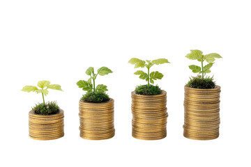 Four small plants in progressively larger pots, each on a stack of coins.  Growth and financial investment metaphor