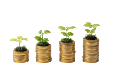 Four small plants in progressively larger pots, each on a stack of coins.  Growth and financial investment metaphor