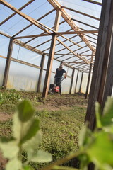 Young man engaged in household chores and small-scale rural farming, tending to his garden with...