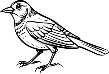 Fototapeta premium hand drawn vector illustration of a bird