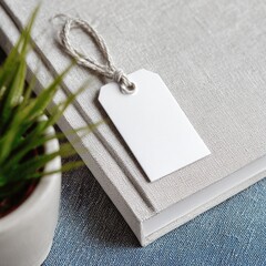 Blank price tag on a light gray book, beside a small potted plant