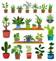 house plants growing indoor ceramic pots shelf vector set illustration clipart