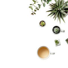 Overhead view of small succulent plants in white pots, a light-colored beverage in a white mug, and other items on a dark surface