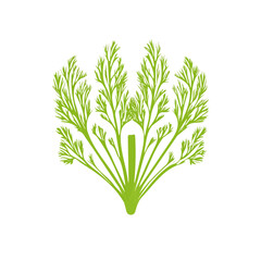My Simple flat 2D illustration of an icon fennel leaves isolated on a white background, vector 2D design, icon, flat 2d illustration art, Eps painting, Vector set	 design
