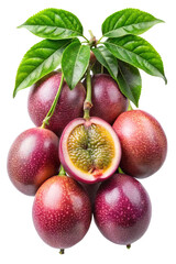 Fototapeta premium A group of ripe passion fruits with one sliced in half exposing seeds