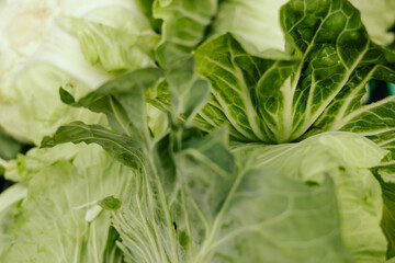 Fresh greens at small local urban market. Organic produce on sale at outdoor farmer market. Selling fresh crops and veggies harvest. European urban setting. Close up. Part of the series.