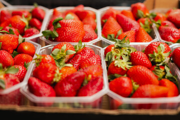 Fresh berry in plastic packaging at small local urban market. Organic produce on sale at outdoor farmer market. Selling fresh crops and veggies harvest. Close up. Part of the series
