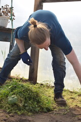 Fototapeta premium Young man engaged in household chores and small-scale rural farming, tending to his garden with care and dedication. His daily routine reflects a sustainable and self-sufficient way of life
