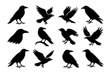 Obraz premium Crow and raven silhouettes: diverse bird poses in artistic black silhouette designs