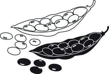 Black bean pods hand drawn illustration two styles