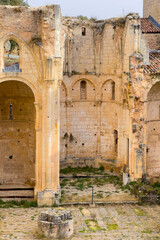Fototapeta premium View of the ruins of Monastery of San Pedro de Arlanza in Burgos province, Spain. High quality photography