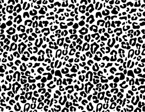 leopard animal skin seamless pattern, vector illustration