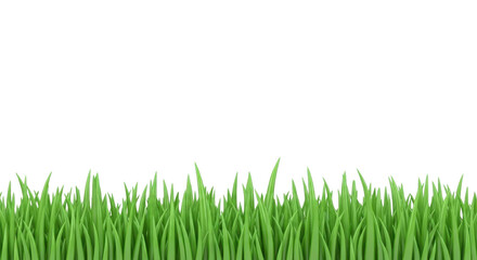 Green grass lawn border isolated on white background