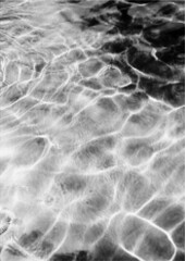 Large vector halftone water texture with a transparent background