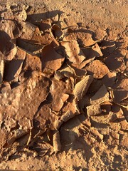 background of dried cracked earth
