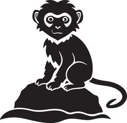 Adorable baby snow macaque with fluffy fur sitting on a warm rock isolated on transparent background