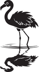 Fototapeta premium Adorable fluffy flamingo chick standing in shallow water isolated on transparent background