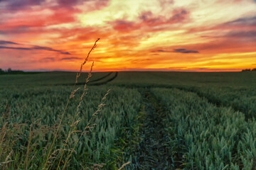 Sunset over the field, with torn dramatic orange-purple clouds. Masuria, Poland, Europe. Selective focus.