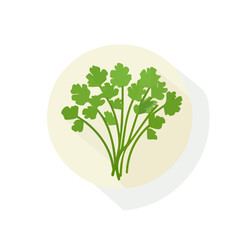 My Simple flat 2D icon of green cilantro leaves isolated on a white background, vector design, ideal for animation, vector, web design, digital illustrations, and minimalist