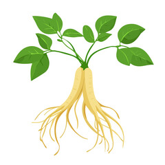 My Simple flat 2D icon of green ginseng leaves isolated on a white background, vector design, ideal for animation, vector, web design, digital illustrations, and minimalist
