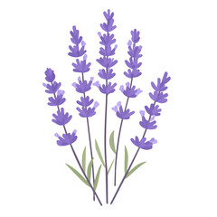 Naklejka premium My Simple flat 2D icon of a purple lavender branch isolated on a white background, vector design, ideal for animation, vector, web design, digital illustrations, and minimalism. EPS format, vector