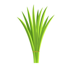 My Simple flat 2D icon of green lemongrass leaves isolated on a white background, vector design, ideal for animation, vector, web design, digital illustrations, and minimalism. EPS format, vector