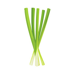 My Simple flat 2D icon of green lemongrass leaves isolated on a white background, vector design, ideal for animation, vector, web design, digital illustrations, and minimalism. EPS format, vector