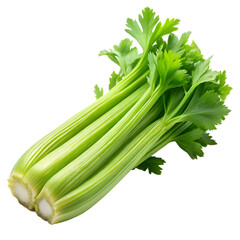 Celery Stalk Isolated on White Background