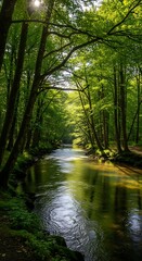 Obraz premium Sunlight streams through a lush forest canopy onto a tranquil river.