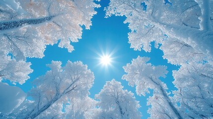 Fototapeta premium Sunlit Winter Wonderland Snow-Covered Trees Reach for a Bright Blue Sky