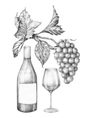 Composition of a bottle of wine, a glass and a bunch of grapes. Hand drawn with a pencil without a background. Graphic drawing. For food, packaging and cosmetics