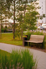Fototapeta premium peaceful park bench amidst lush greenery offers tranquil escape. urban setting with natural elements, empty seat invites rest. ideal for nature lovers seeking relaxation in city.