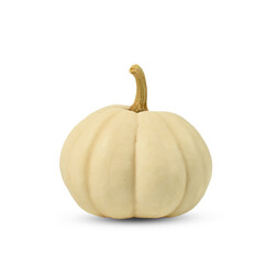 Baby Boo Pumpkin. White Jack, little pumpkin on white background