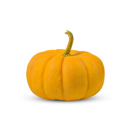 Cucurbita pepo. Orange Jack small pumpkin on white background