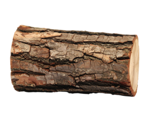 Rough bark wooden log isolated on transparent background