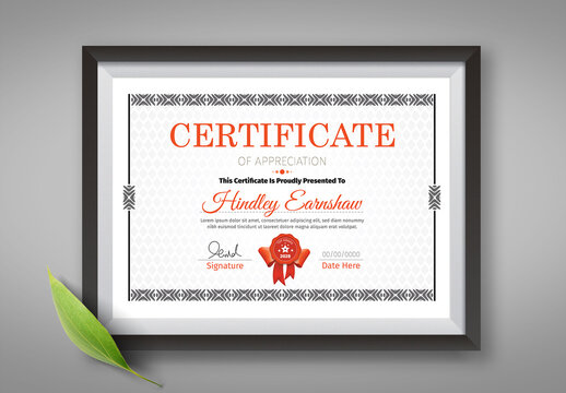 Retro Certificate Of Appreciation Template Design With Border