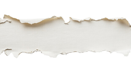 Fototapeta premium Torn paper edge, ripped paper strip, white background, torn texture isolated on Transparent Background