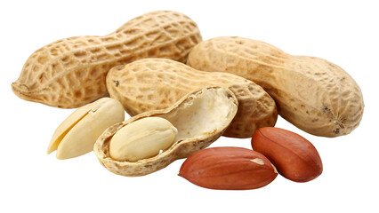 Peanuts in shells and shelled isolated on a transparent background shelled peanuts