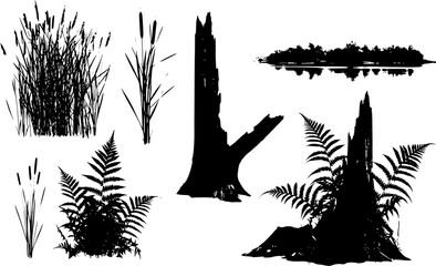 Set of reed shoots, reeds, and coastal vegetation. Ferns alongside rotting stumps. Swamp landscape with a riverbank in the view. Rendered as a silhouette. Isolated on white background. Modern