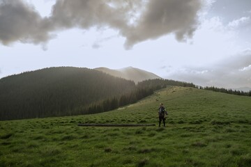 Fototapeta premium Solitary Hiker Amidst the Ukrainian Carpathians and majestic meadow in sunset