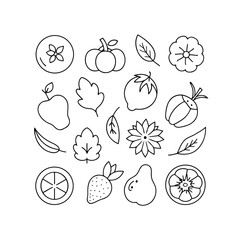 Hand-Drawn Fruits and Vegetables Illustration Set