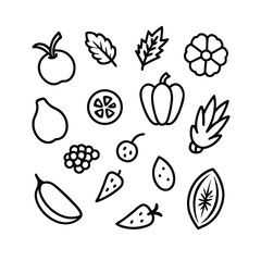 Fototapeta premium Hand-Drawn Fruits and Vegetables Illustration Set