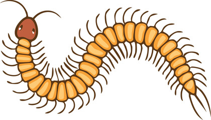 Cartoon illustration of a segmented centipede, with orange segments and brown head.