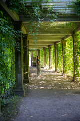 old wooden bridge
