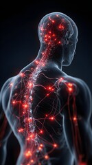 Human body with glowing red pain points on neural pathways illustrating pain or nerve stimulation, set against a dark blue 